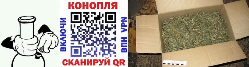Купить закладку ГАШИШ Каннабис А ПВП Меф мяу мяу Каргополь
