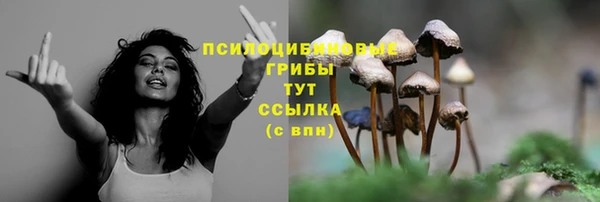 герыч Козельск