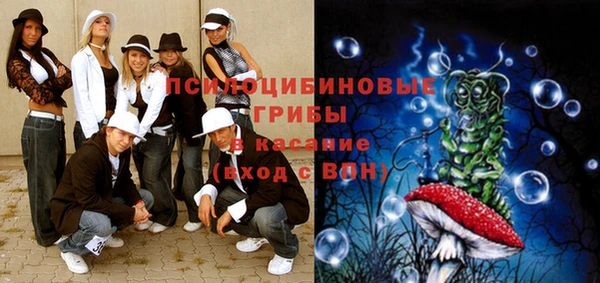 герыч Козельск