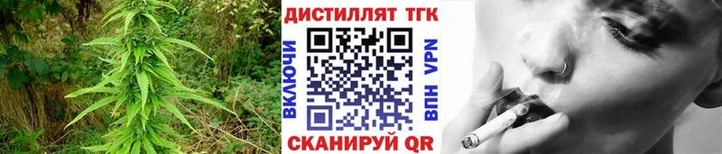 Дистиллят ТГК Wax  Купить где  Каргополь 